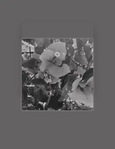 收听 Jeff Heidenreich、观看音乐视频、阅读小传、查看巡演日期等 ！