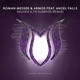 Higher LTN Sunrise Remix feat Angel Falls Single