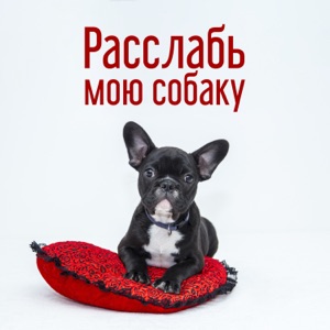 Расслабь мою собаку - Домашние животные терапия, Анти-тревога, Внутреннее спокойствие, Глубокий отдых
