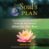Robert Schwartz - Your Soul's Plan: Discovering the Real Meaning of the Life You Planned Before You Were Born (Unabridged)