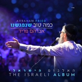 אחים בנפש Avraham Fried