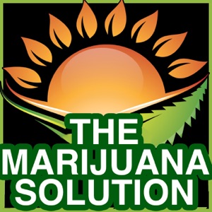 Gainesville Green Creator Brings Light to the Article from Gainesville Sun and Sets the Record Straight