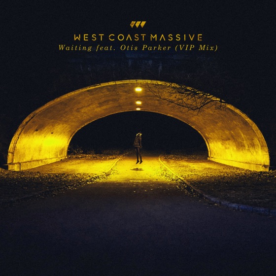 Cover artwork for Waiting (feat. Otis Parker) [VIP Mix]
