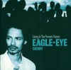 Eagle-Eye Cherry