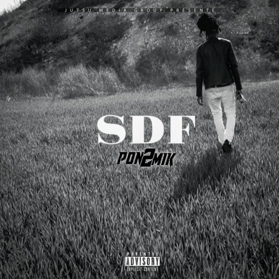 Cover artwork for SDF