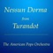 Nessun Dorma from Turandot (Instrumental) [Live] artwork