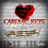 Cardiac Keys Riddim, 2013
