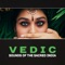 Cosmic Justice - Mantras Guru Maestro lyrics