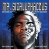 Mr. Sicaluphacous, 2004