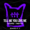 Tell Me You Love Me (Remixes, Pt. 2) - Single