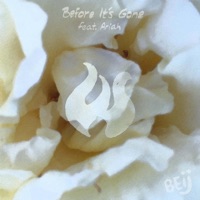 Before It's Gone (feat. Ariah) - Single - BEij