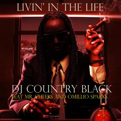 Livin' in the Life - Single - Mr. Cheeks