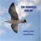 Spindrift - The Seagulls and Me lyrics