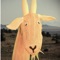 Actual Goat (feat. Alie Carter) - Sockhampton lyrics