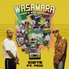 Wasamara (What’s the Matter) [feat. Feid] - Single