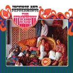 Strawberry Alarm Clock - Rainy Day Mushroom Pillow