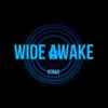 Wide Awake - Single