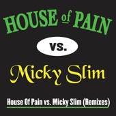 Jump Around (House of Pain Vs. Micky Slim Radio Edit) artwork