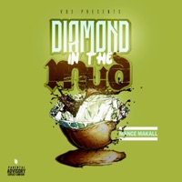 Diamond in the Mud - Mance Makall