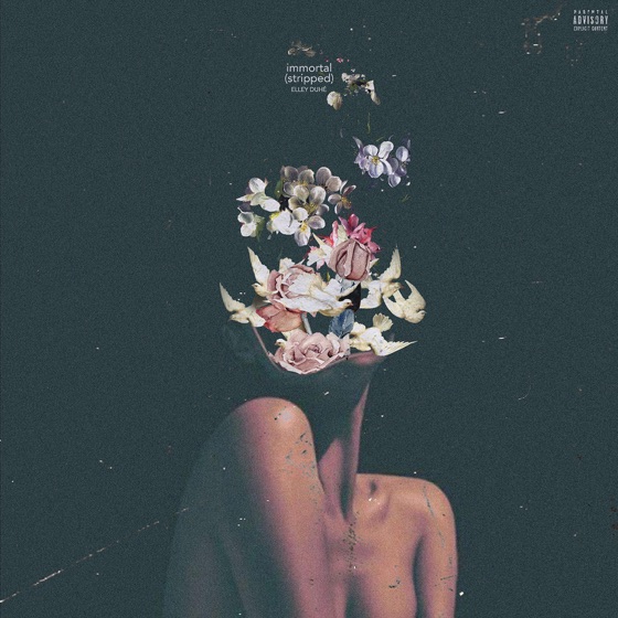 Cover artwork for Immortal