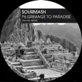Pilgrimage To Paradise (Barrel Beat Mix)