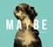 Maybe - Niels Geusebroek lyrics