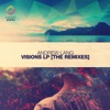 Visions [The Remixes], 2017