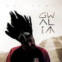 Chwyldro bach dy hun — Gai Toms