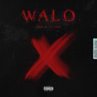Walo - Single - FUDOK TB