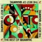 Wandering Star - Quantic and his Combo Bárbaro & Quantic lyrics
