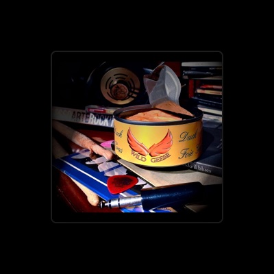 Listen to Wild Geese, watch music videos, read bio, see tour dates & more!