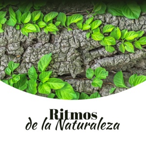 Ritmos de la Naturaleza: Musicoterapia para la Relajación, la Serenidad, el Masaje y la Meditación