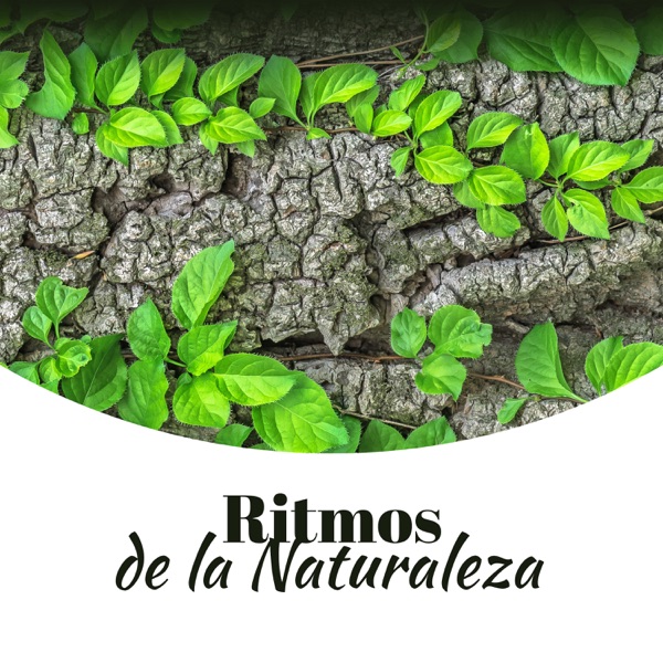 Ritmos de la Naturaleza: Musicoterapia para la Relajación, la Serenidad, el Masaje y la Meditación