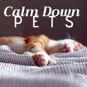 Calm Down Pets