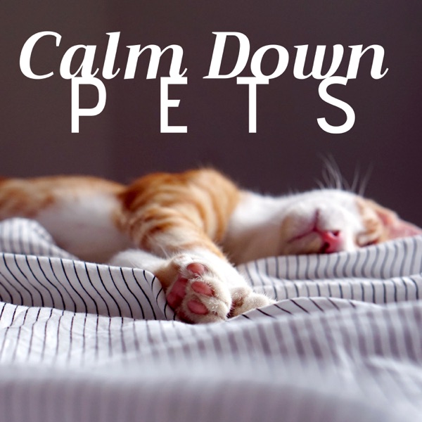 Calm Down Pets
