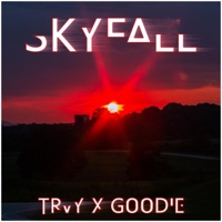 Skyfall (feat. Goodie) - Single - Trvy