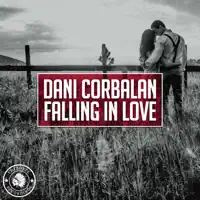 Falling In Love (Radio Edit) — Dani Corbalan