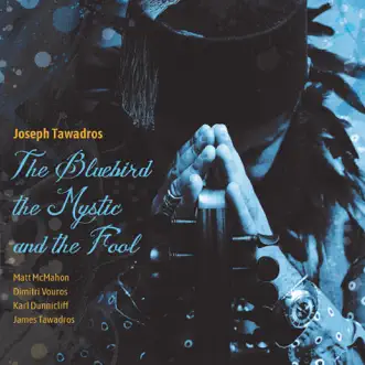 The Bluebird by Joseph Tawadros song reviws