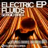 Stream & download Electric Fluids - Single