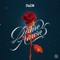 Dame Amore - EliaCiM lyrics