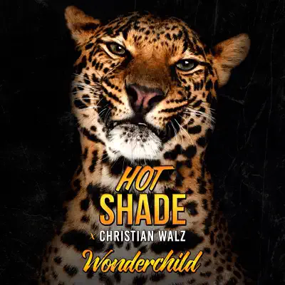 Wonderchild - Single - Christian Walz