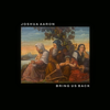 Bring Us Back - Joshua Aaron