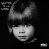 Welcome to the Woods - Lincoln Woods