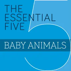 The Essential Five - EP - Baby Animals