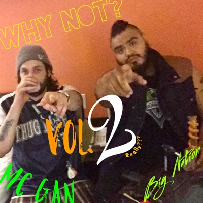 Why Not?, Vol. 2 - Really?