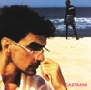 Caetano Veloso - Fera Ferida