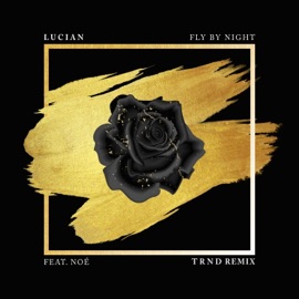 Fly By Night (feat. Noé) [TRND Remix] - Single (TRND Remix) Lucian