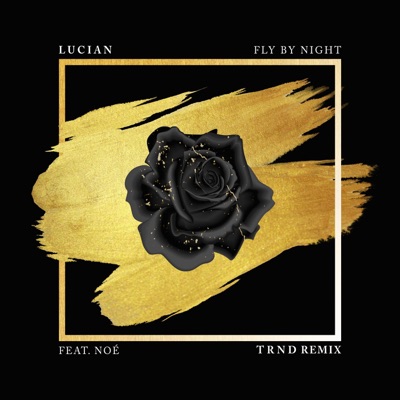 Fly By Night (feat. Noé) [TRND Remix] - Single