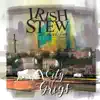 Irish Stew of Sindidun - The Old City Keeper