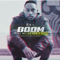 Boom (Real Ni--As Don't Die) [feat. Front Page] - Single - F.Y.I.